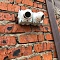 купольные камеры видеонаблюдения HiWatch DS-T203 на улицу